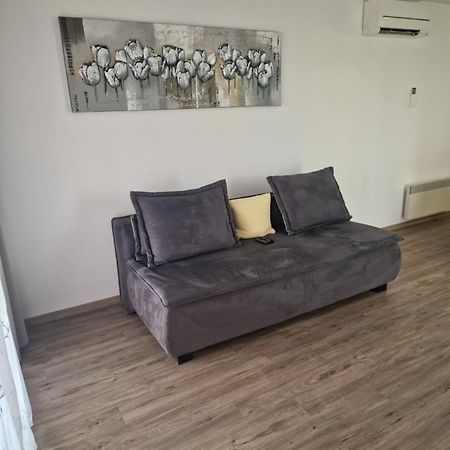 Family Apartment Moravske Toplice Extérieur photo