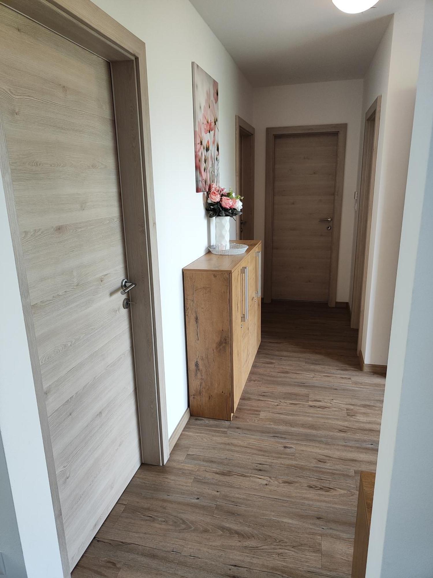 Family Apartment Moravske Toplice Extérieur photo