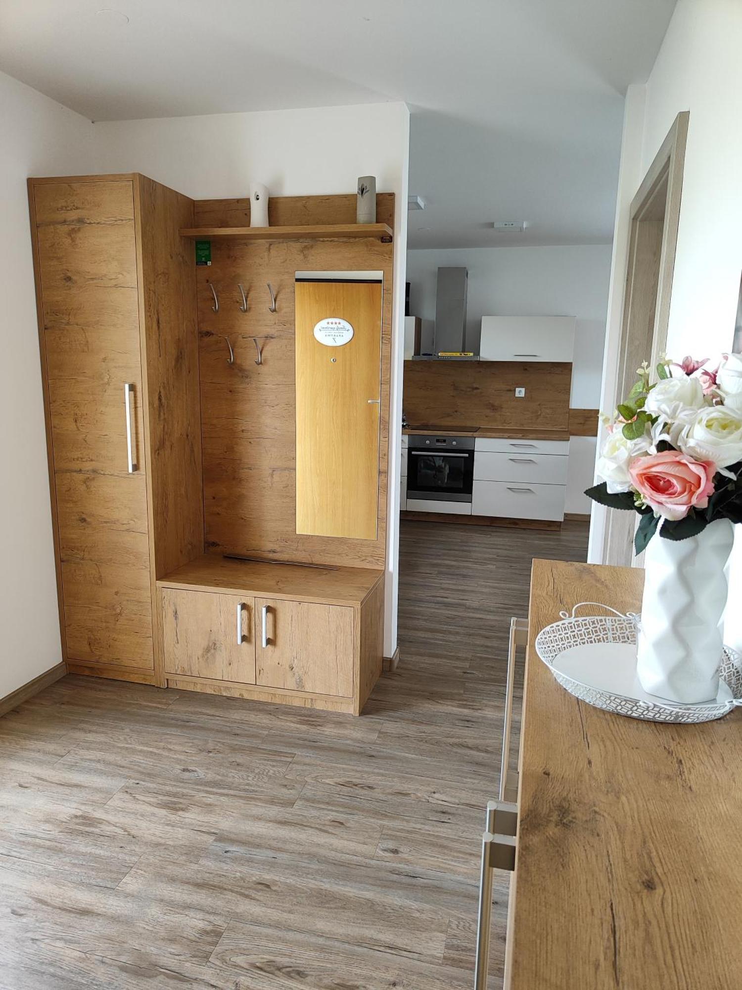 Family Apartment Moravske Toplice Extérieur photo