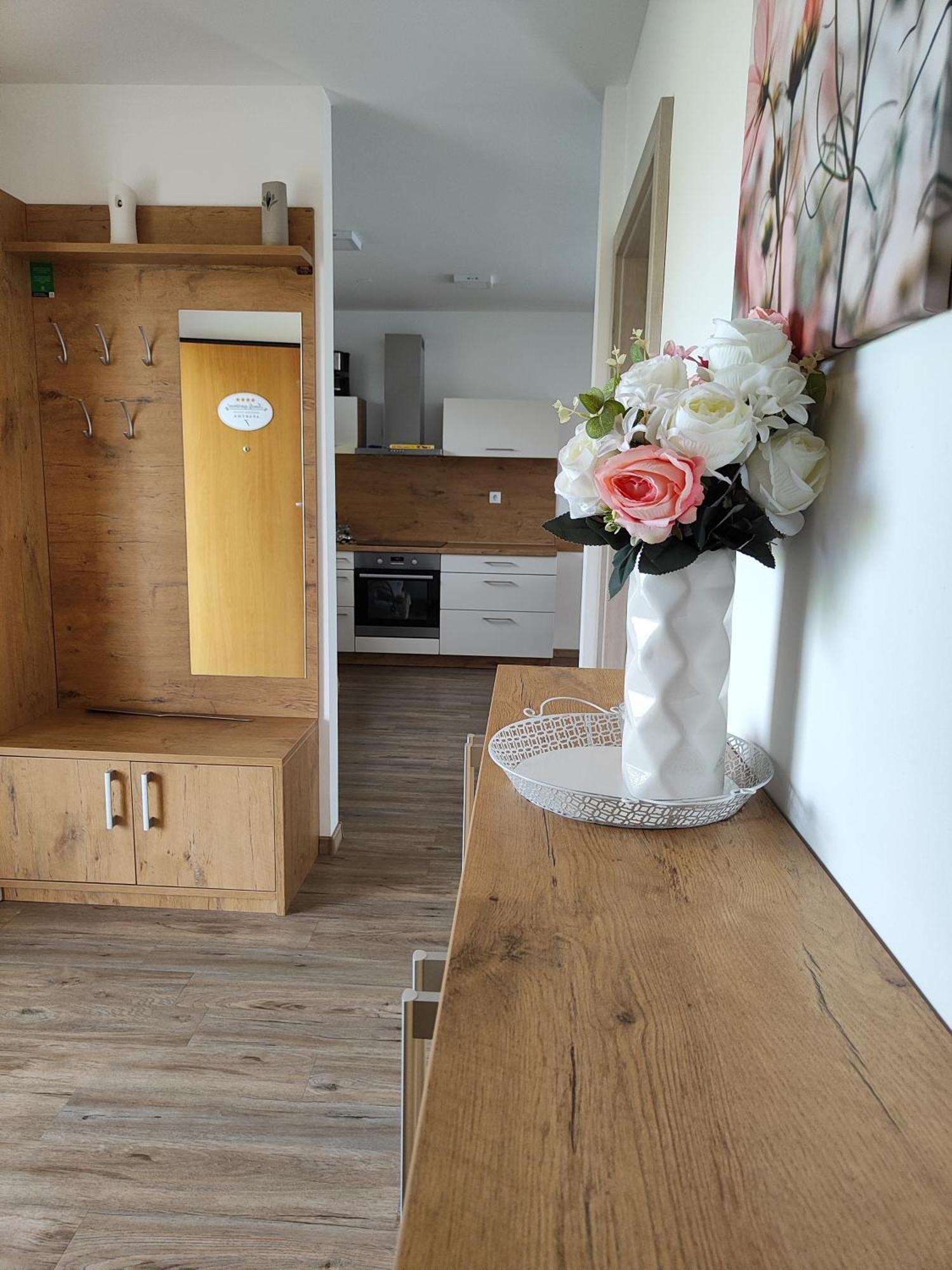 Family Apartment Moravske Toplice Extérieur photo
